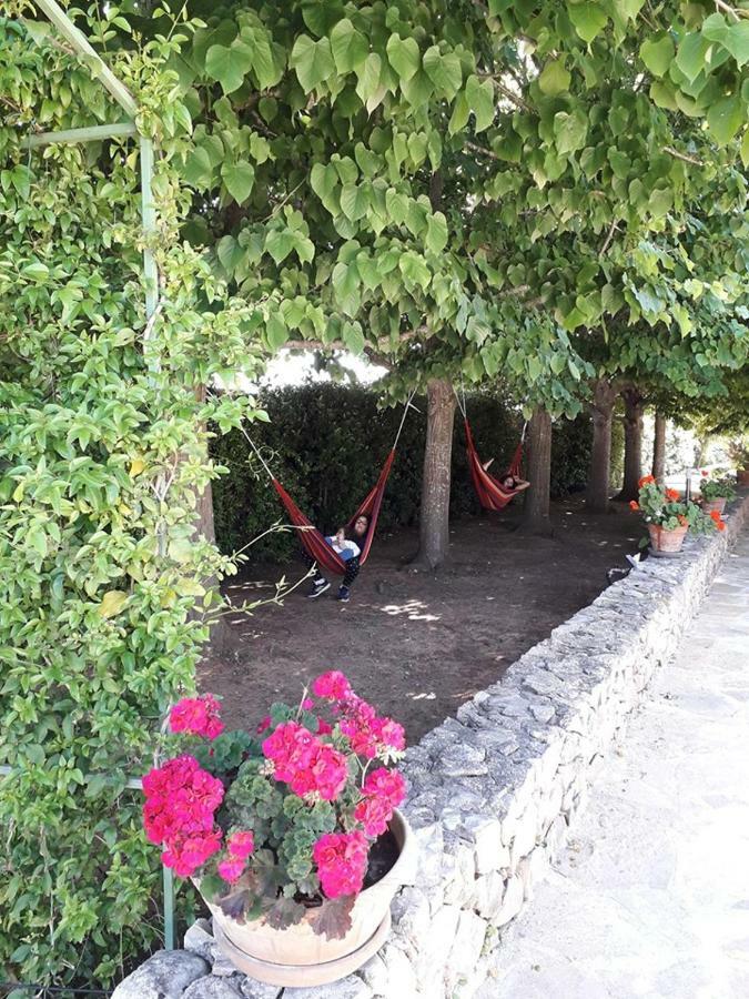 أليزيو Villa Minerva Family Relais المظهر الخارجي الصورة